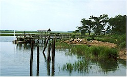 Murrells Inlet